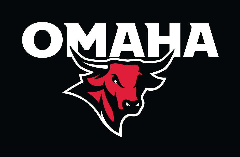 Nebraska-Omaha Mavericks 2011-Pres Alternate Logo v3 diy fabric transfer
